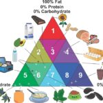 Illustration consisting of a multicolored triangle divided into 9 sectors with different levels of fat, protein and carbohydrates, and with various types of foods indicated for each sector.