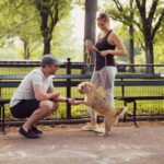 Dog Food Ingredients