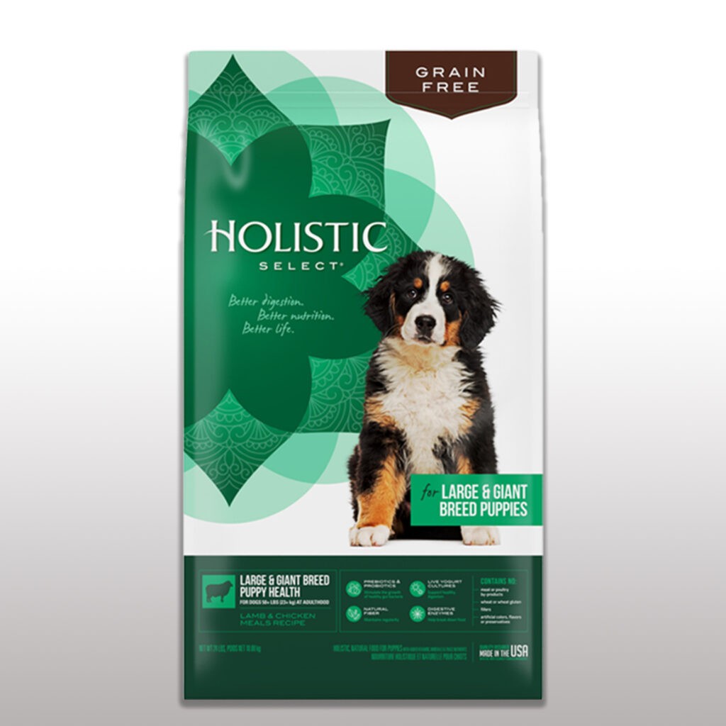 Holistic View Dog Food