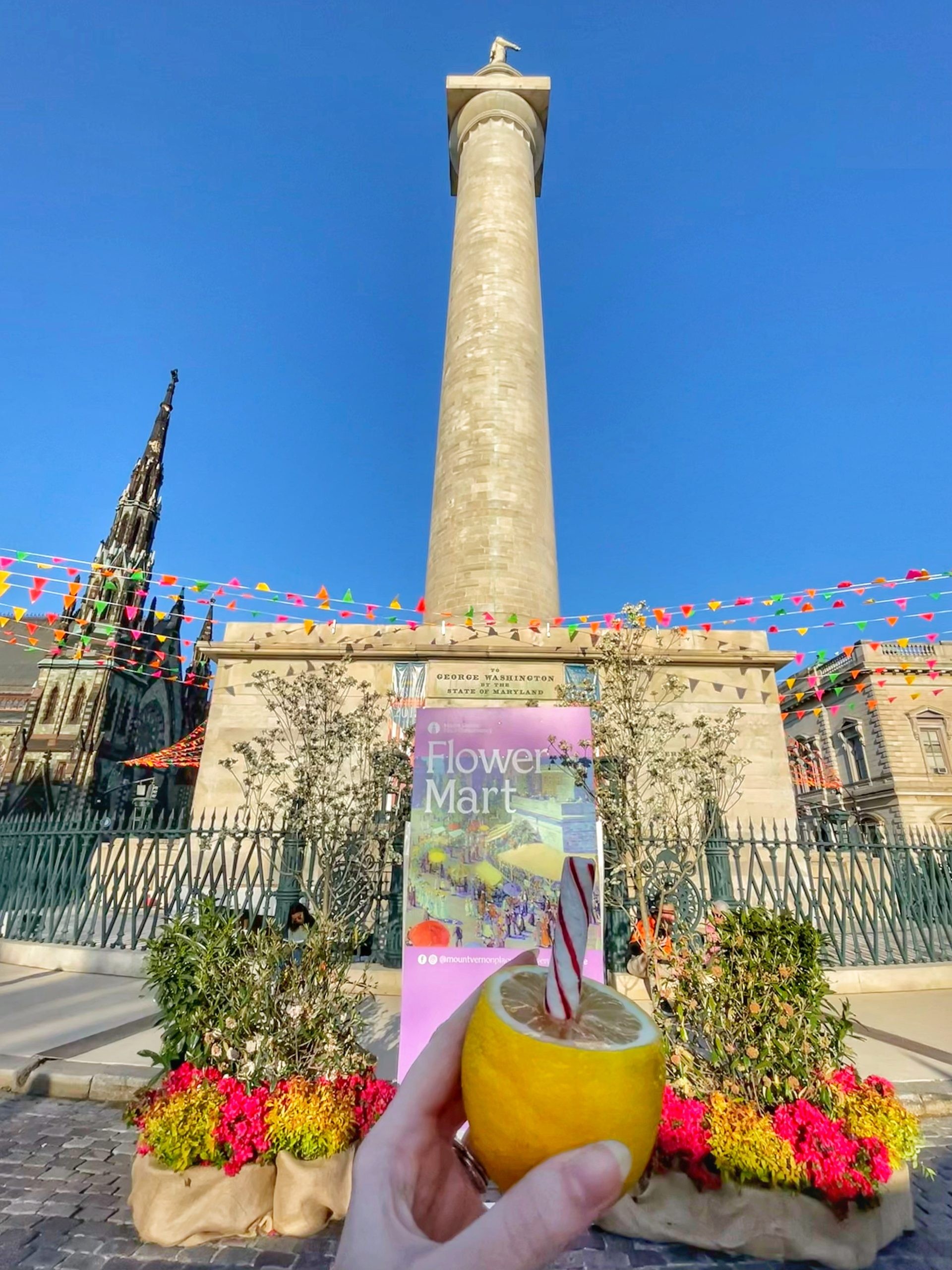 Lemon Sticks are a Baltimore Flower Mart tradition