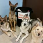 Dog Food Donation