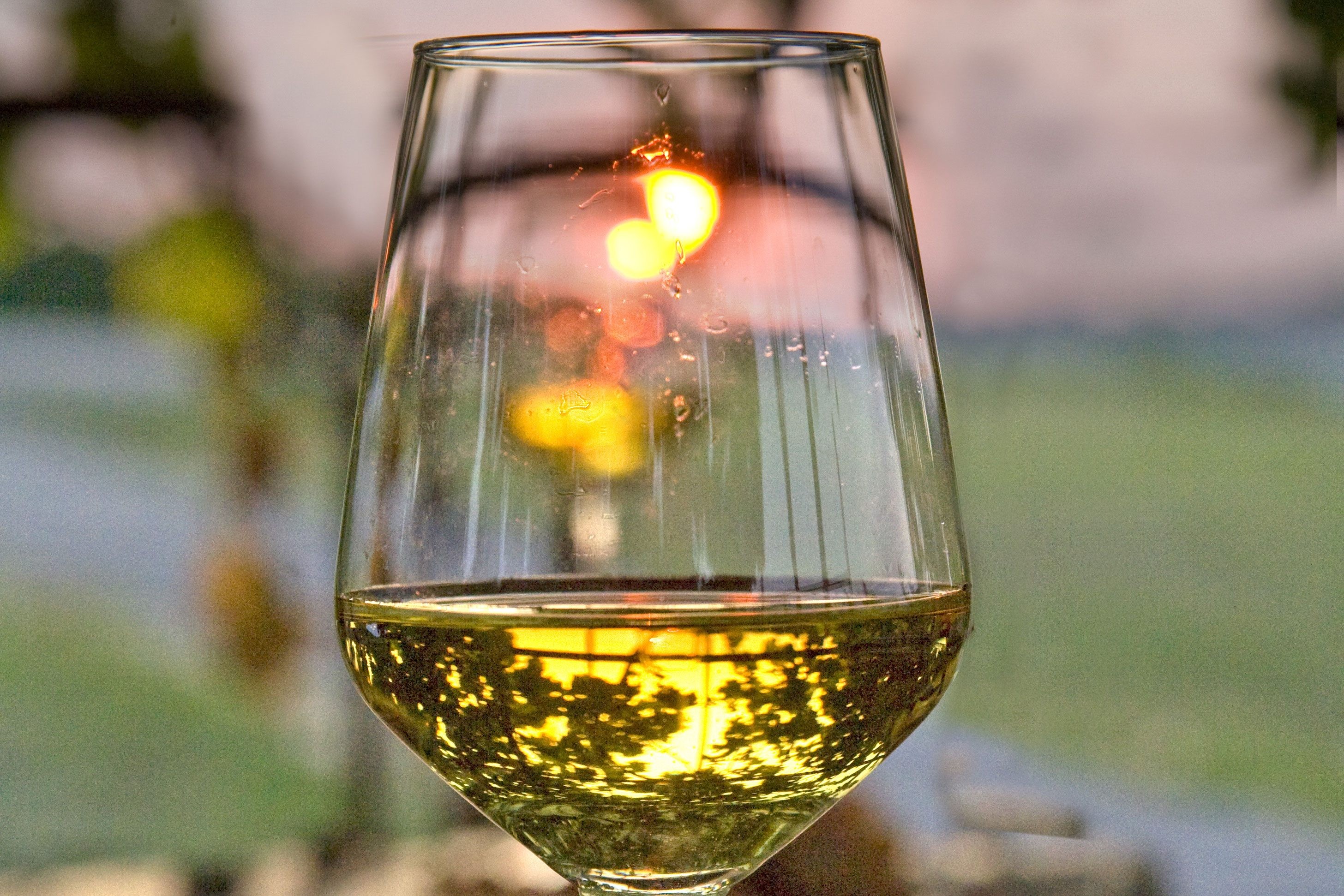 Glass of Malvazija wine