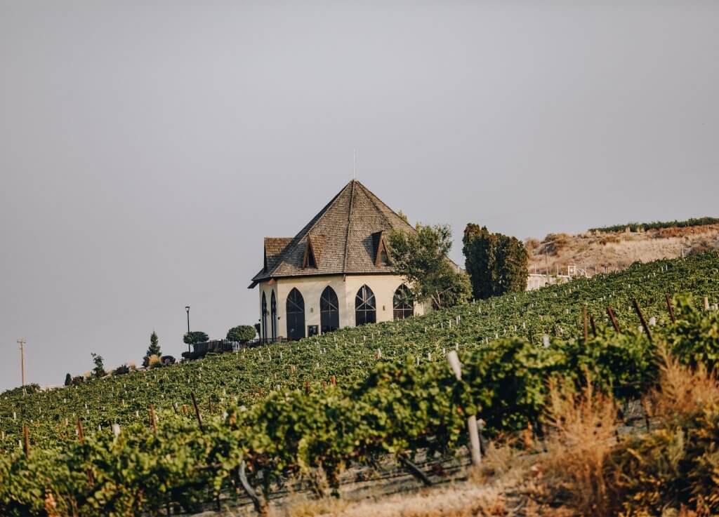 Ste. Chapelle Winery tasting room beside a vineyard on a sloped landscape.