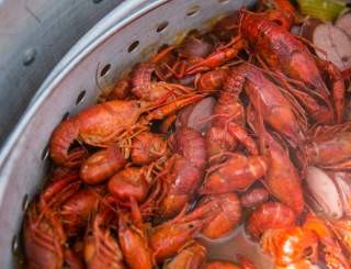 Crawfish Boil
