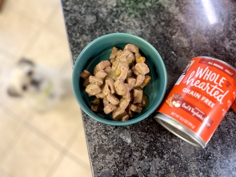 WholeHearted Grain-Free Wet Dog Food