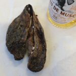 beaver castor sac
