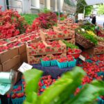 Organic Farming Methods