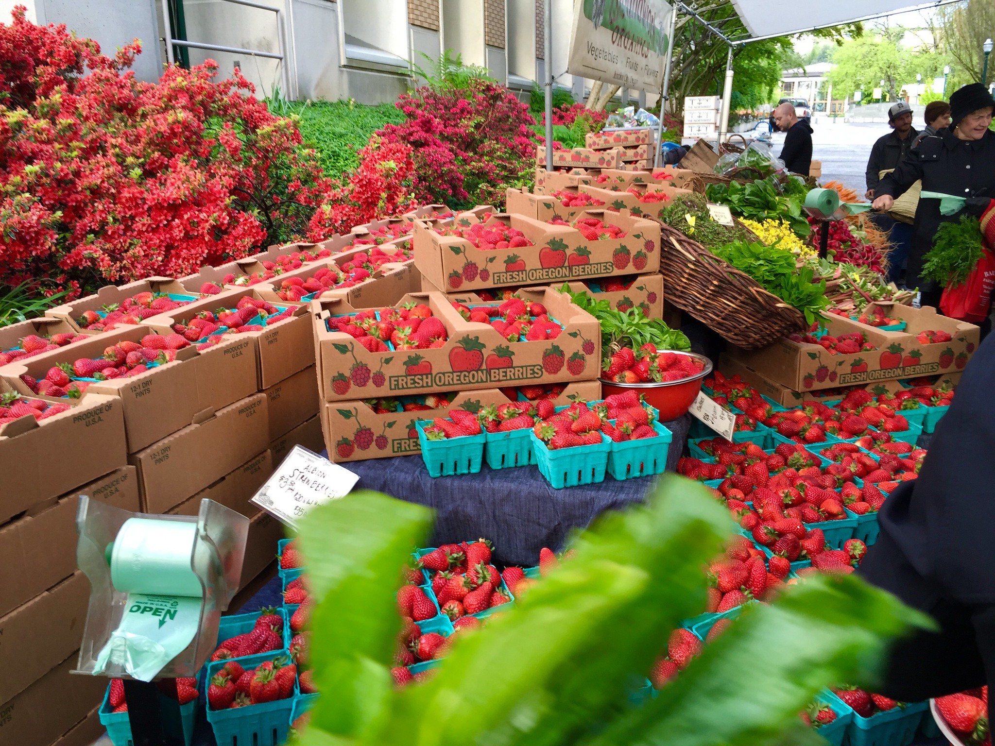 Organic Farming Methods