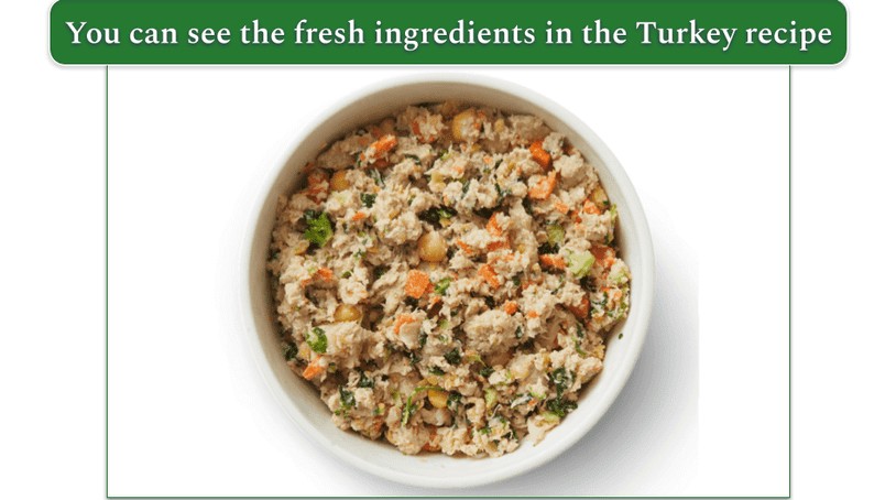 Bowl of Farmer's Dog turkey recipe