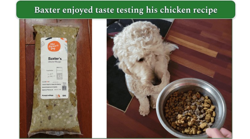 Pack of fresh Farmer's Dog chicken recipe