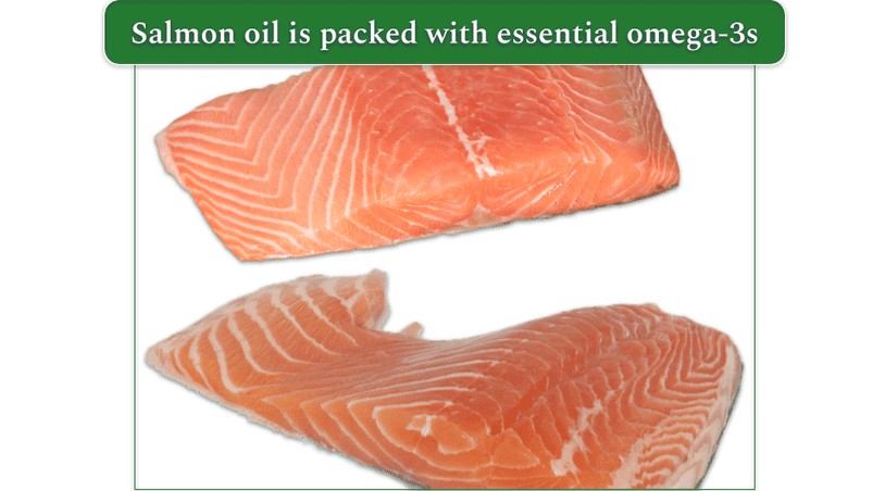 Fresh salmon filets