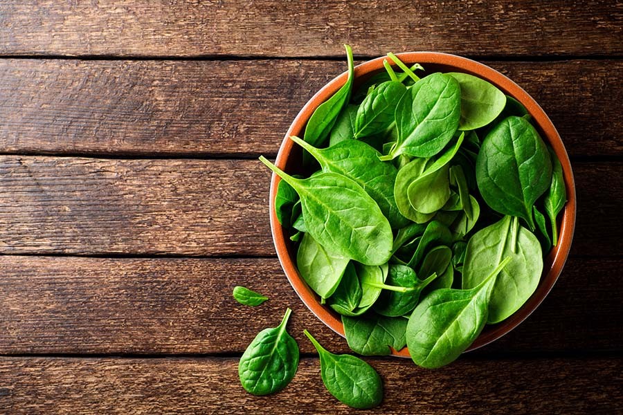 Fresh, vibrant spinach leaves