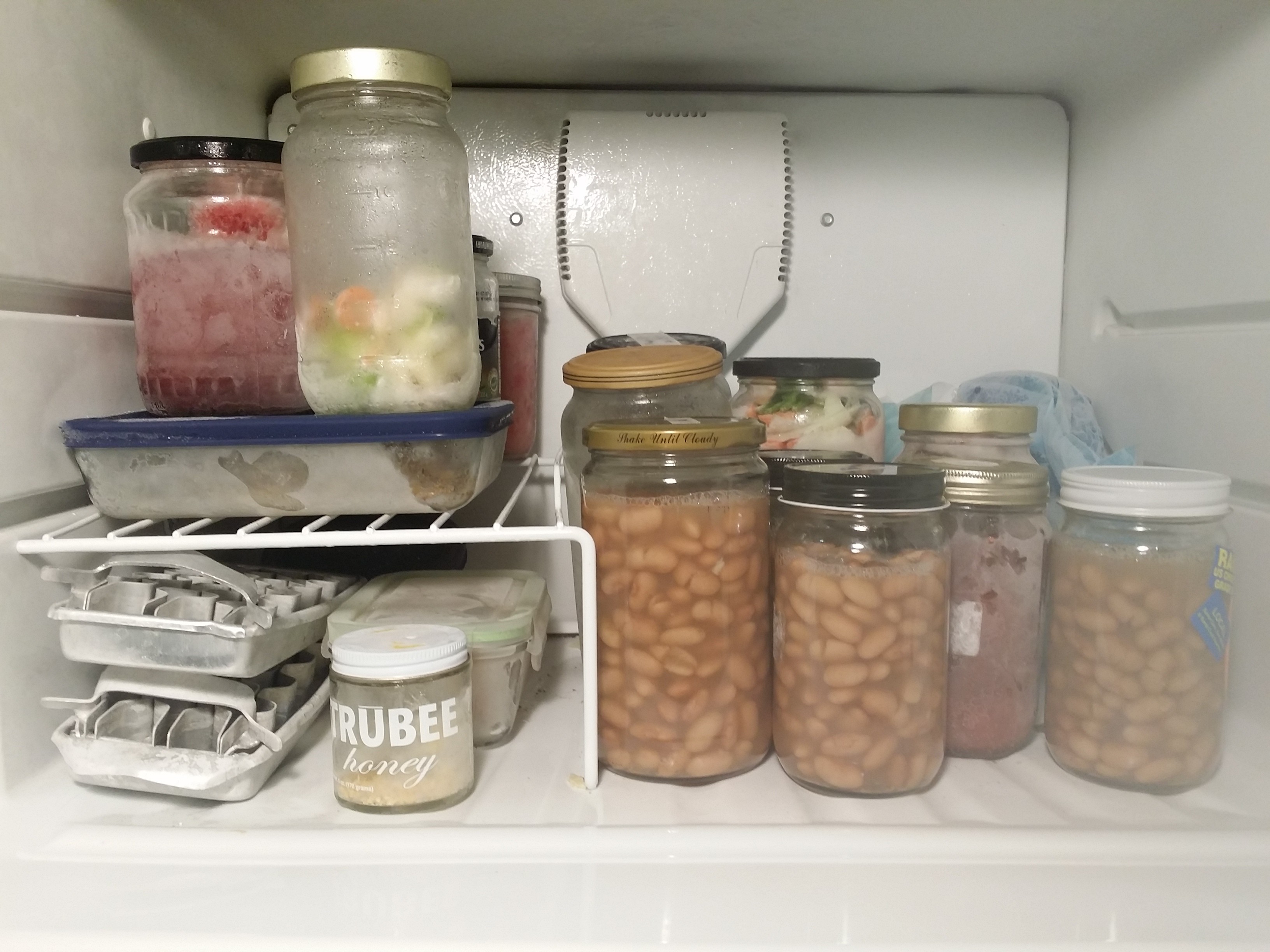 Glass jars filled with frozen beans