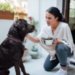 Dry measuring cups filled with different types of dog kibble