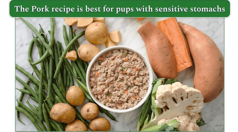 Bowl of Farmer's Dog pork recipe