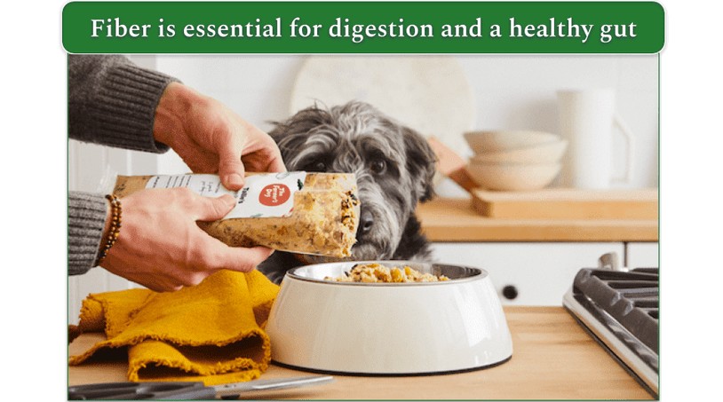 A dog watching its meal being poured into a bowl