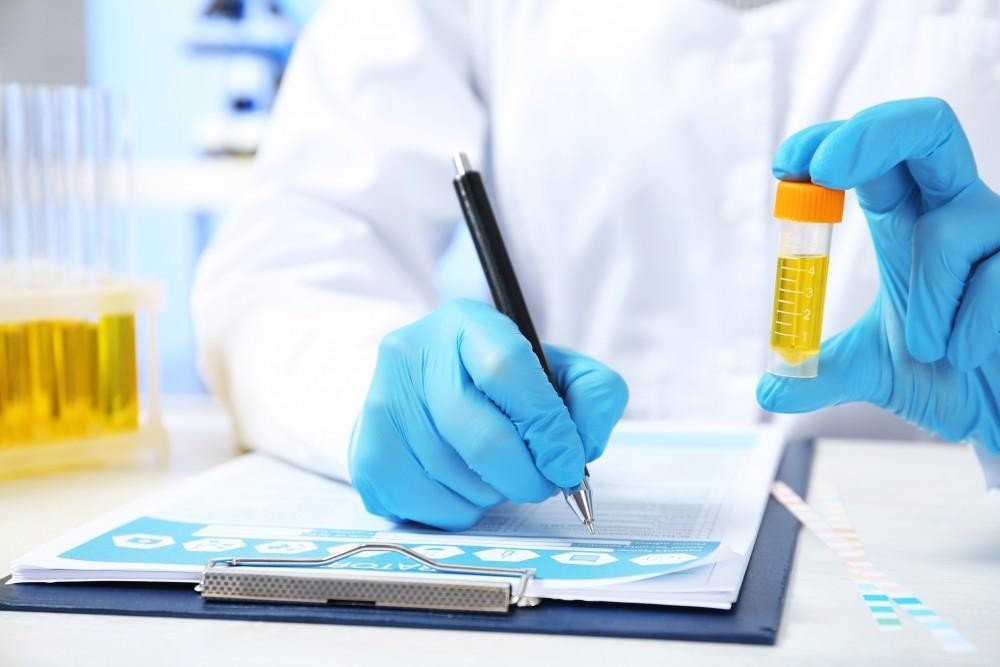 Understanding Kidney Function in Protein Filtration