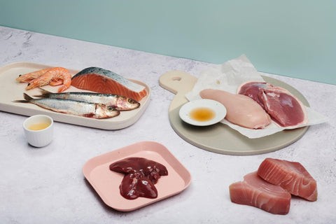 A variety of high-quality protein sources for cats, including chicken, fish, and shrimp.