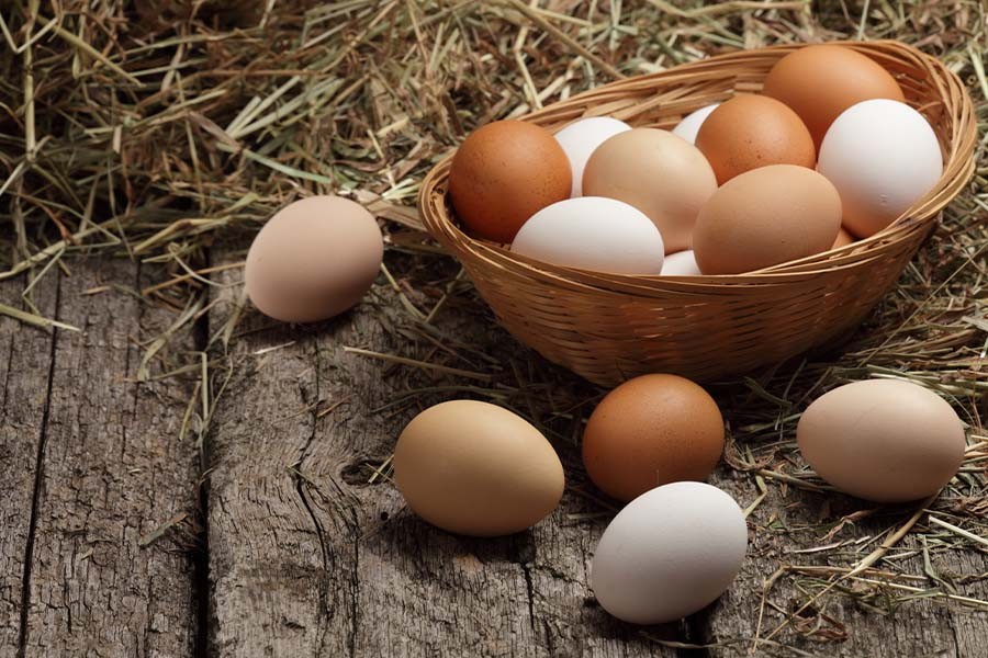 Close-up of fried eggs