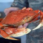Assortment of seafood dishes at a Lincoln City restaurant