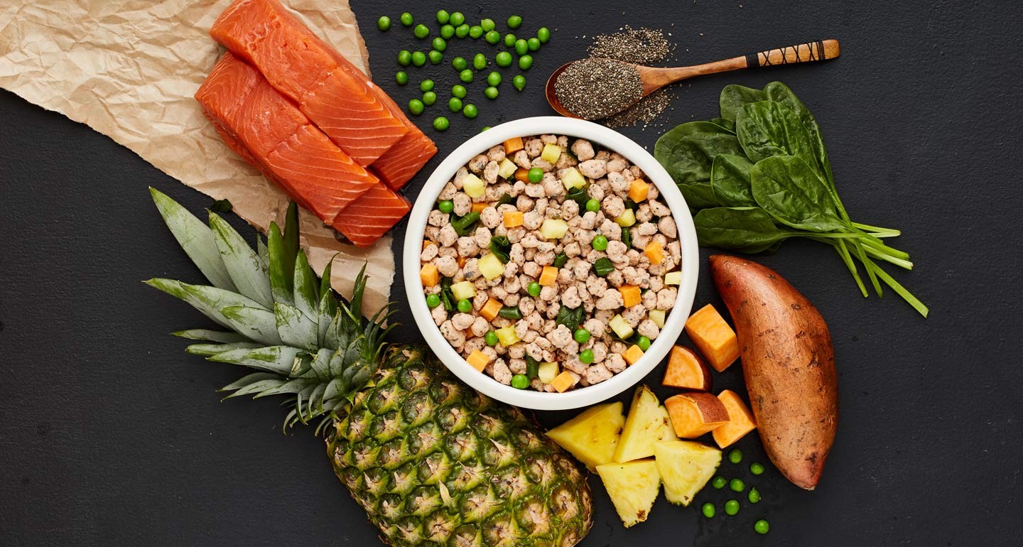 Jinx Dog Food Ingredients: A detailed look at the key components of Jinx dog food, highlighting protein sources, carbohydrates, and healthy fats.