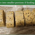 Pack of fresh Farmer's Dog food
