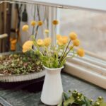 vases of flowers