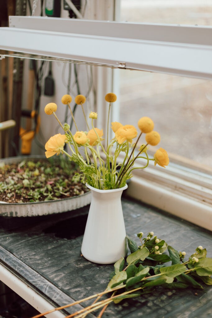 vases of flowers