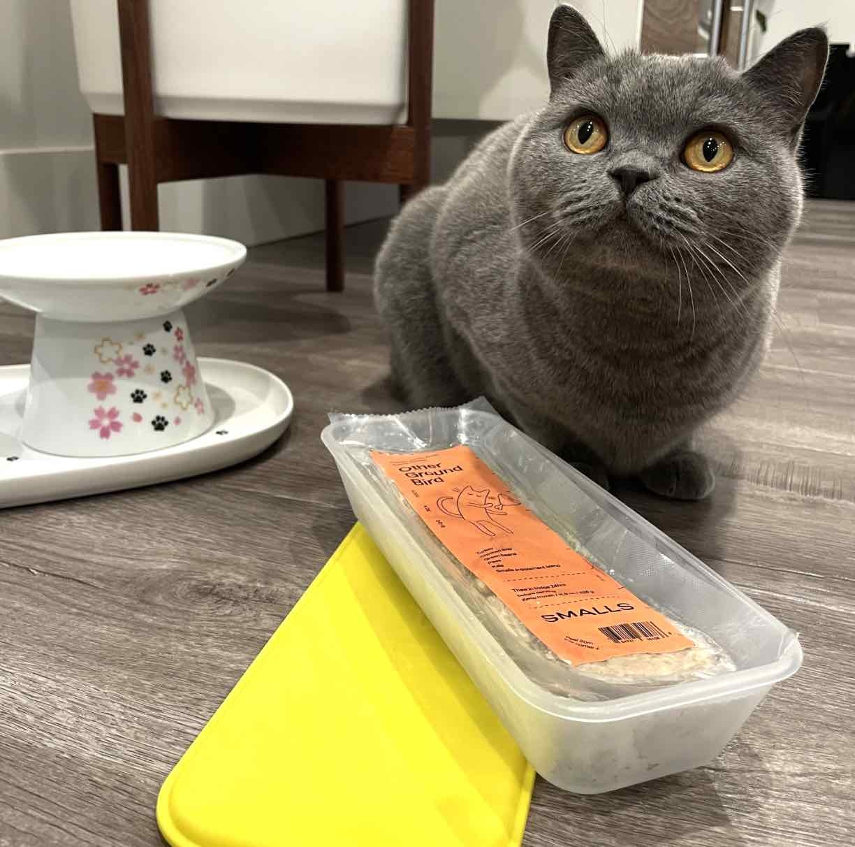 Smalls’ formulas contain USDA-certified ingredients that you’d find at your local grocery store, gently cooked to retain nutrients and moisture. No wonder Benny loves it so much