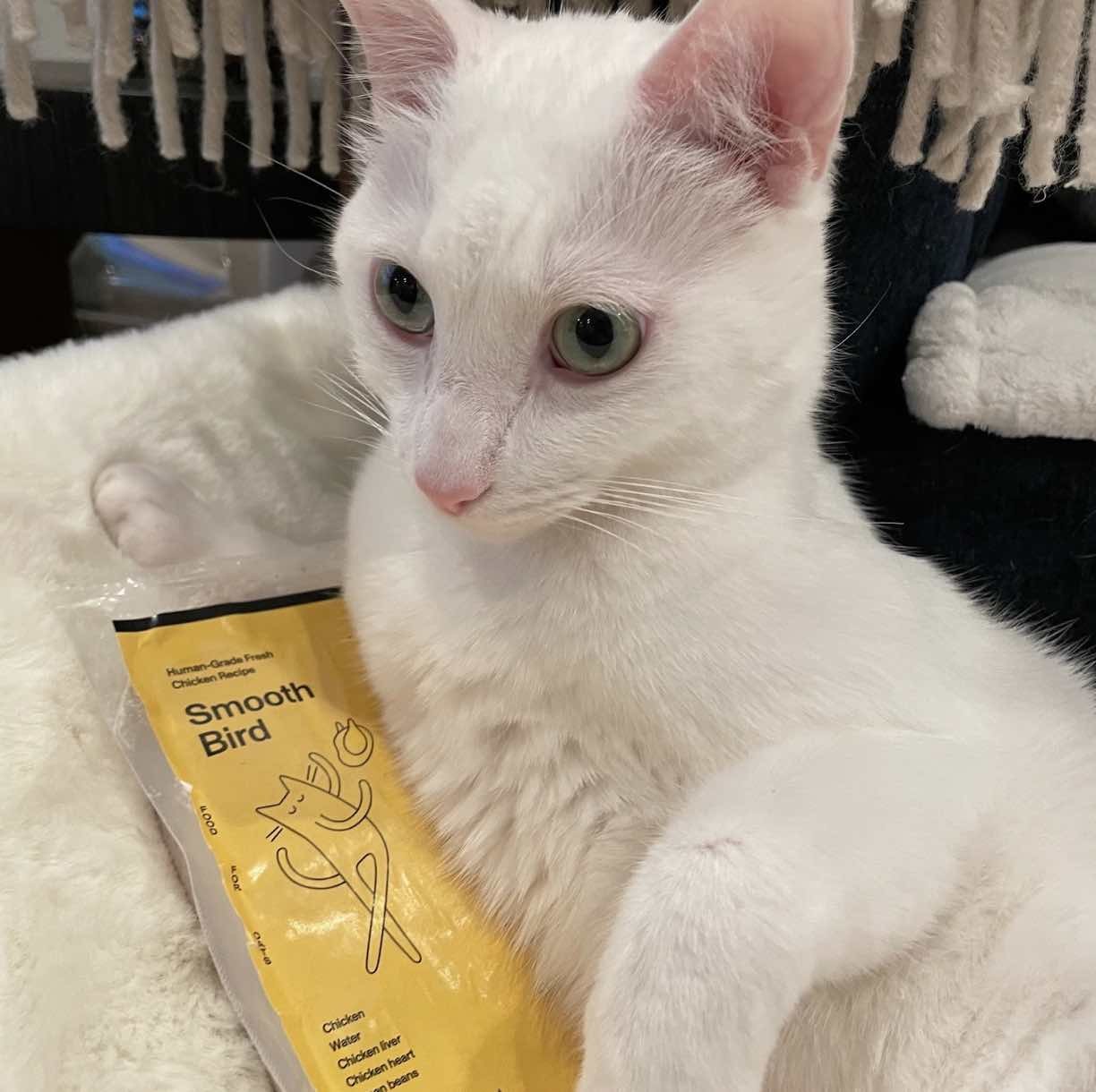 Cat enjoying raw food