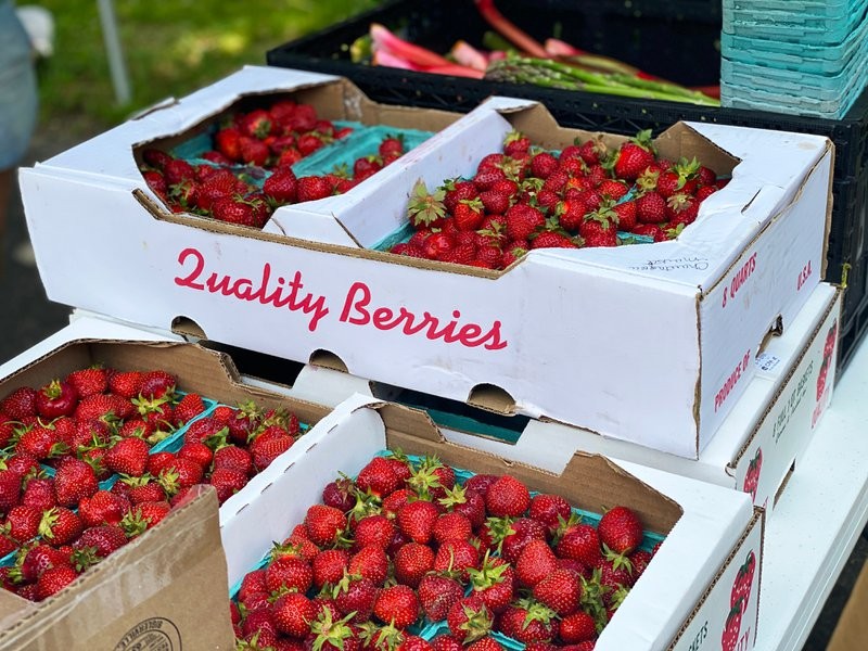 restaurant-food-suppliers-offering-fresh-produce