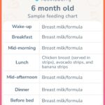 Baby-Led Weaning Food Ideas