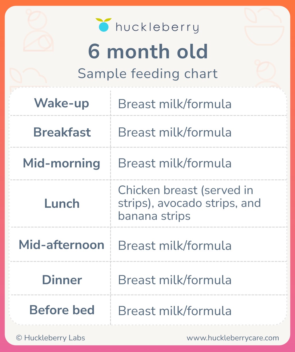 Baby-Led Weaning Food Ideas