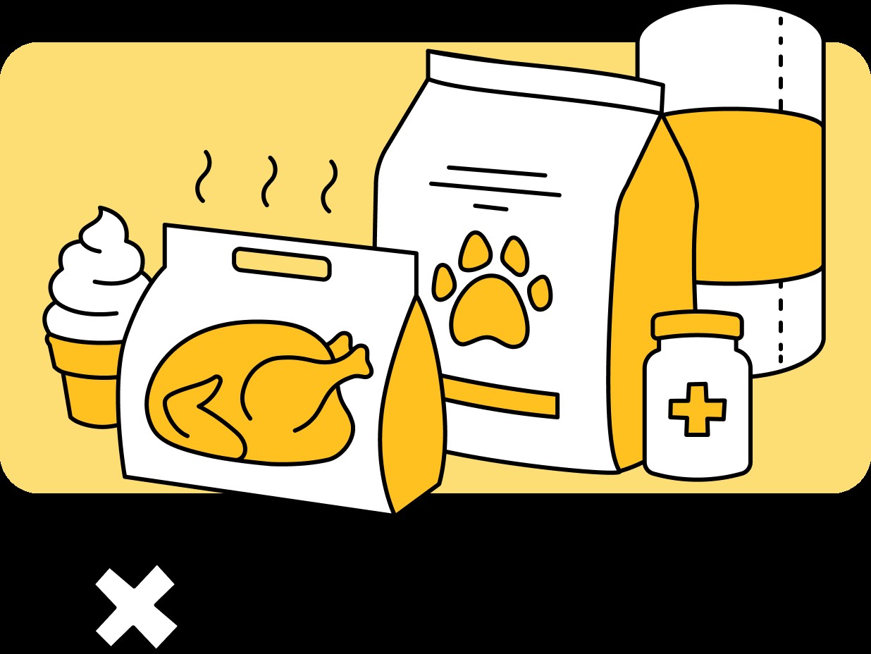 An array of non-SNAP-eligible items at Dollar Tree, including cleaning supplies, personal care products, and pet food
