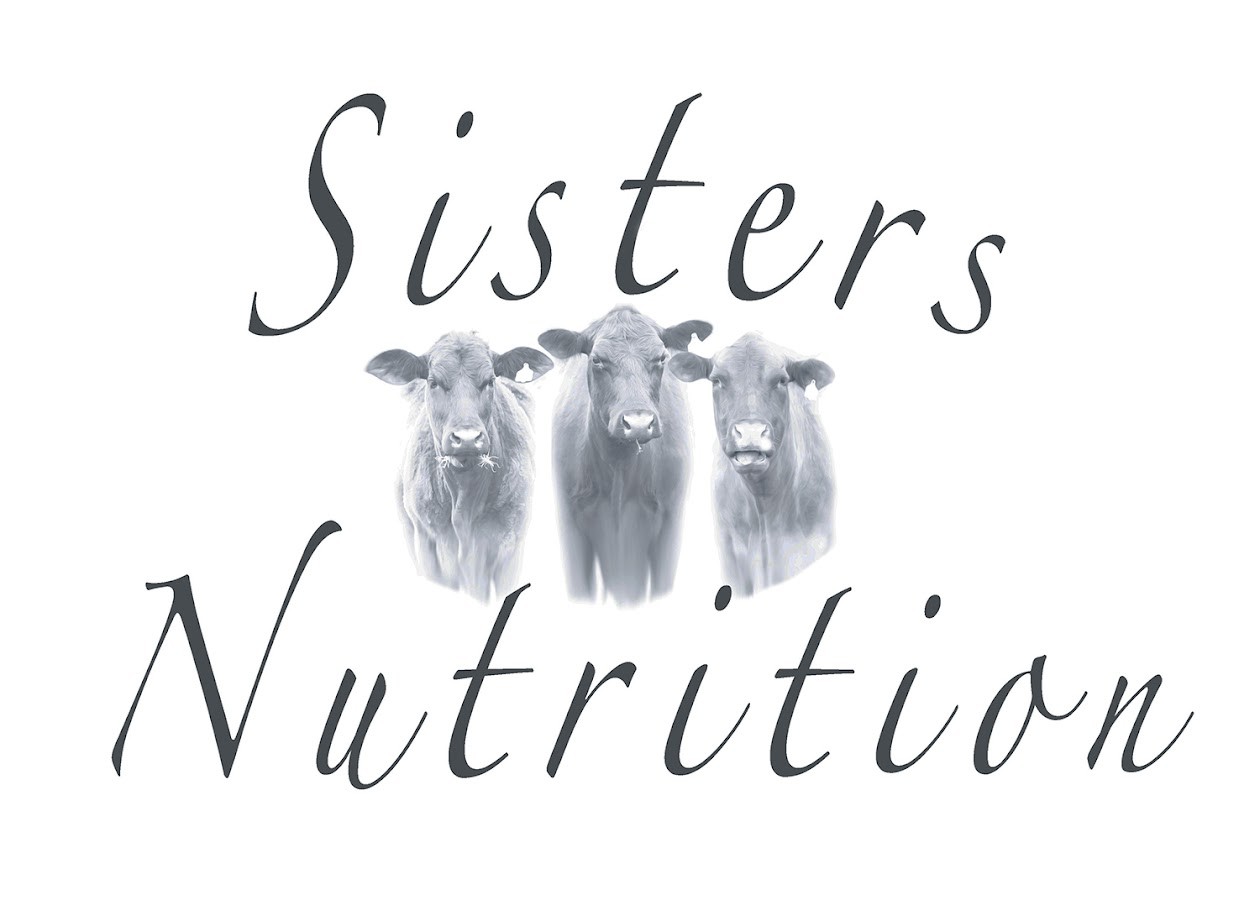 Nutritious smoothie bowl at Sisters Nutrition