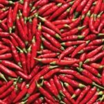 Bowl of delicious chili
