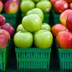 Fresh Red Apples on a Branch