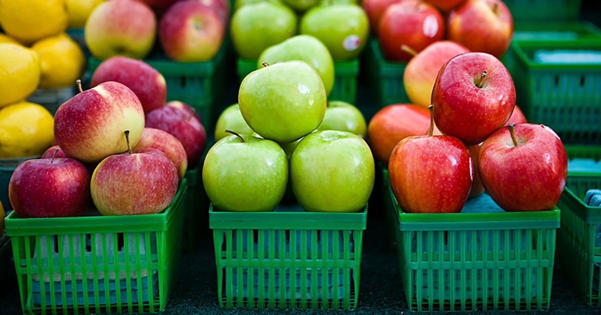 Fresh Red Apples on a Branch