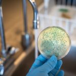 biological hazards shown on glass