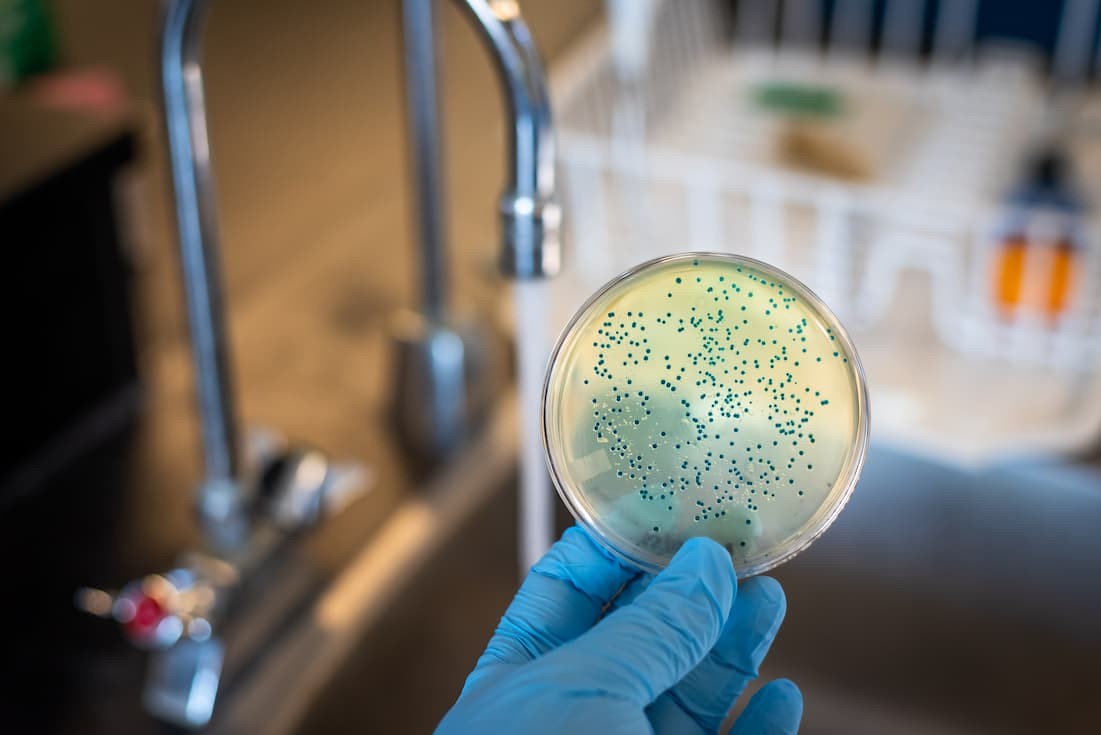 biological hazards shown on glass