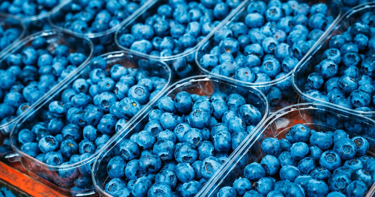 Selection of kidney-friendly fruits, including blueberries, cranberries, and strawberries