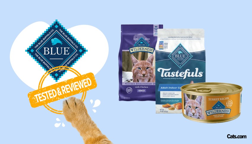 Blue Buffalo Cat Food Products