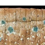 Wasted bread slices symbolizing food waste