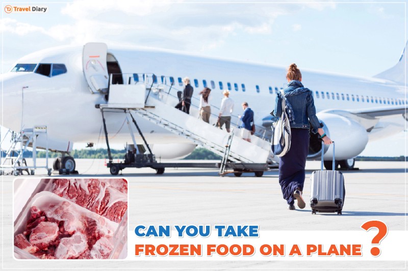 Insulated Coolers: Hard-Sided Vs. Soft-Sided