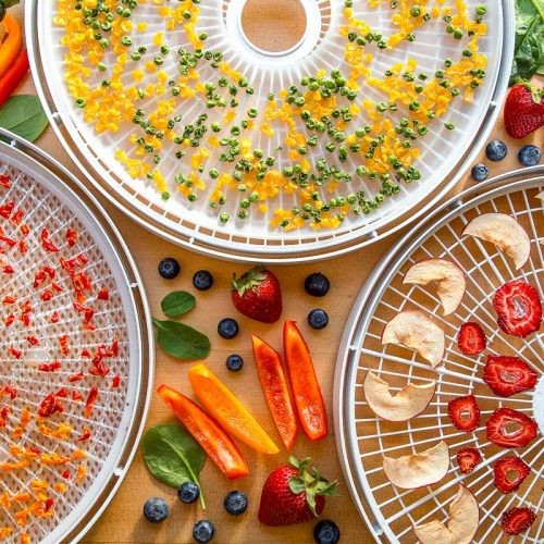 Assortment of vibrant dehydrated vegetables, including bell peppers, carrots, and zucchini, showcasing the diverse options for long-term storage through dehydration.