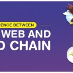 Ocean Food Web Example