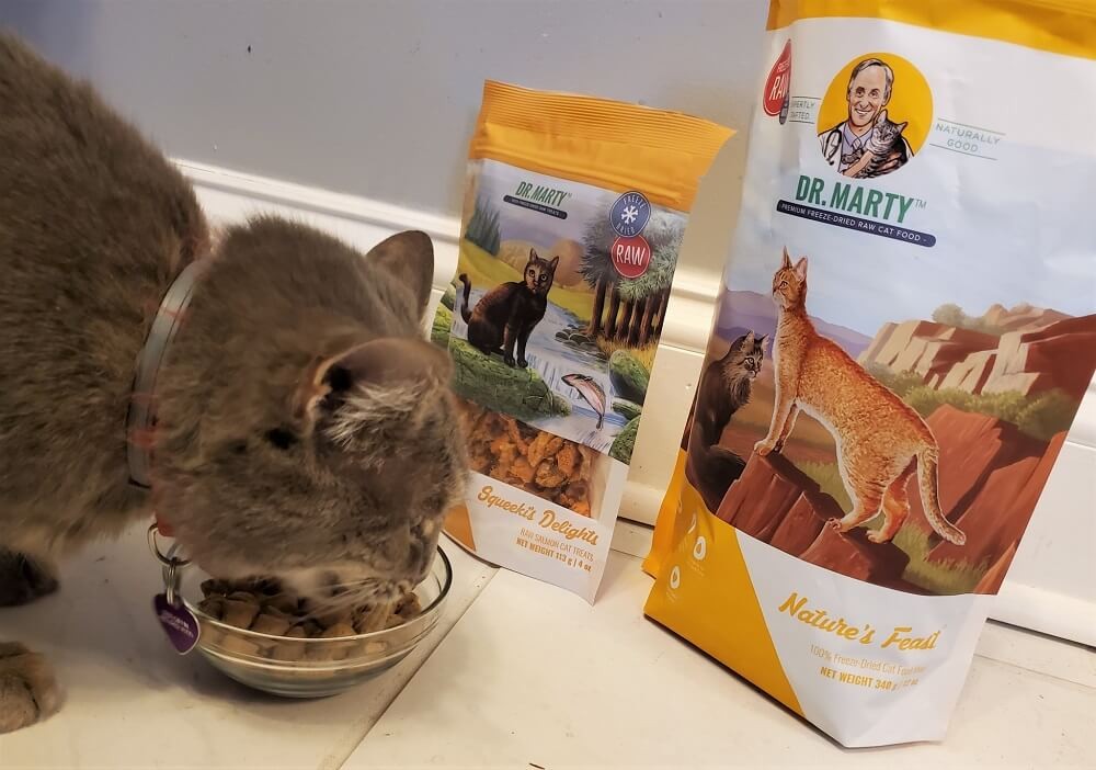 Dr Marty’s Nature’s Feast freeze-dried raw cat food features three premium animal proteins: salmon, turkey, and whitefish