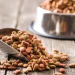 Dog food in a bowl with a measuring cup