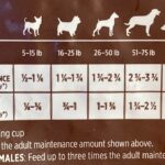dog food serving chart