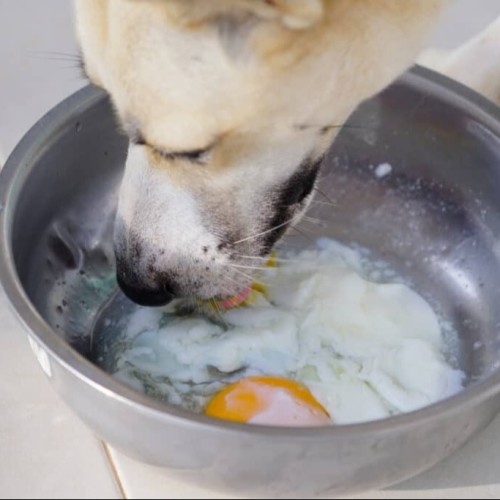 Raw egg and veggie delight